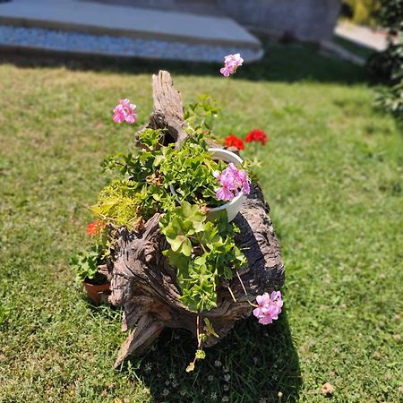 Villa Karolina Οχρίδα Εξωτερικό φωτογραφία