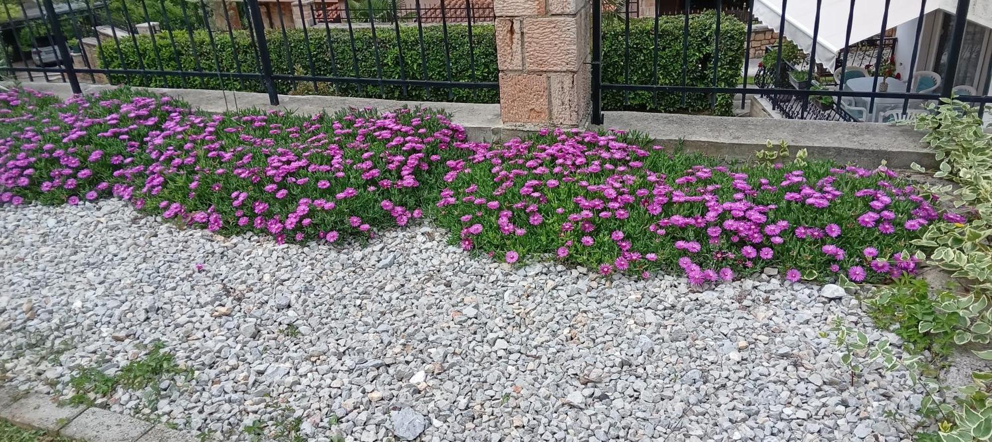 Villa Karolina Οχρίδα Εξωτερικό φωτογραφία
