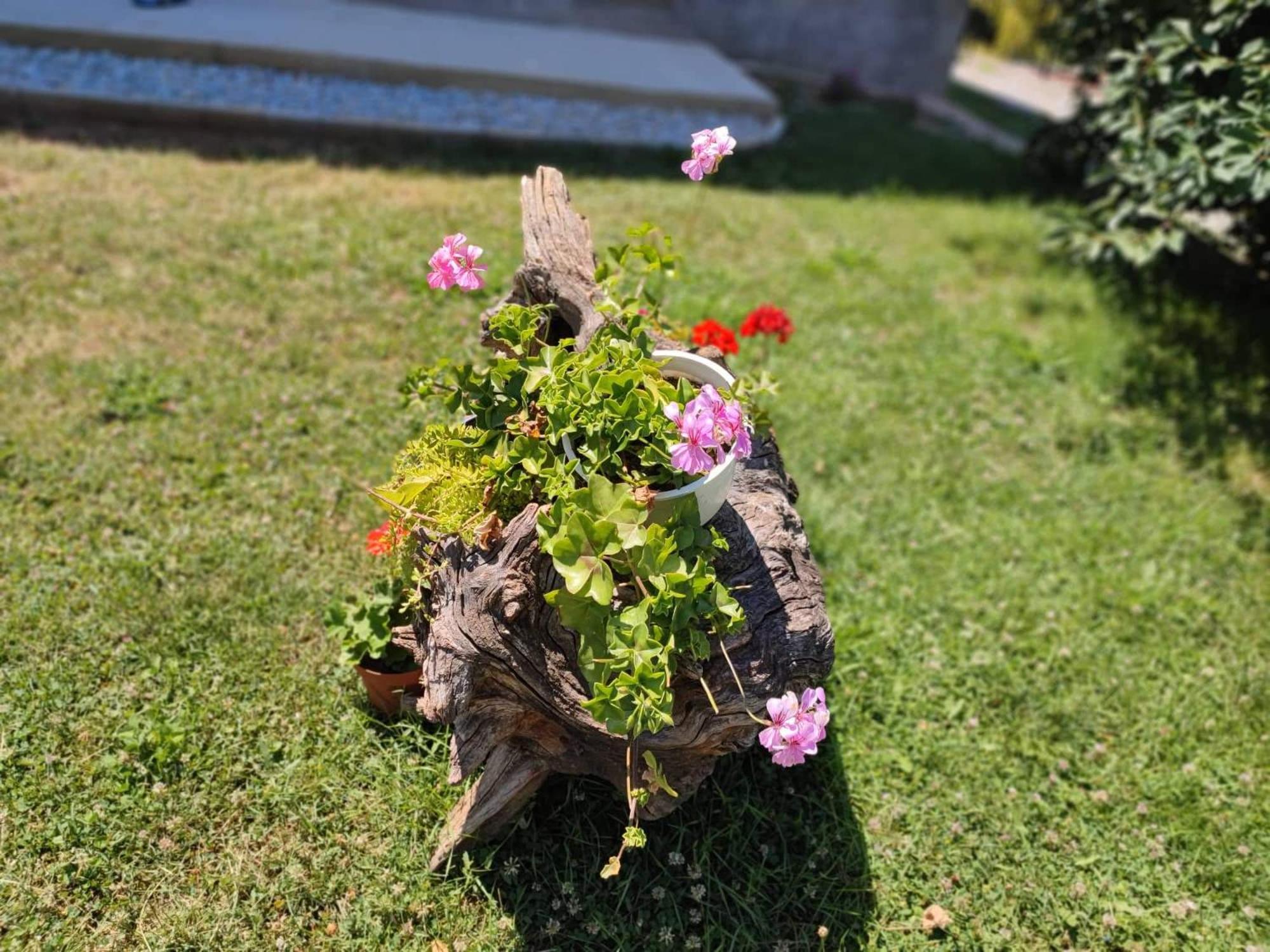 Villa Karolina Οχρίδα Εξωτερικό φωτογραφία